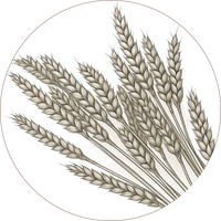 Heritage Wheat