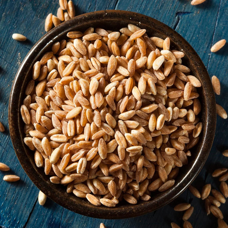 Farro Spaghetti — 3-Pack